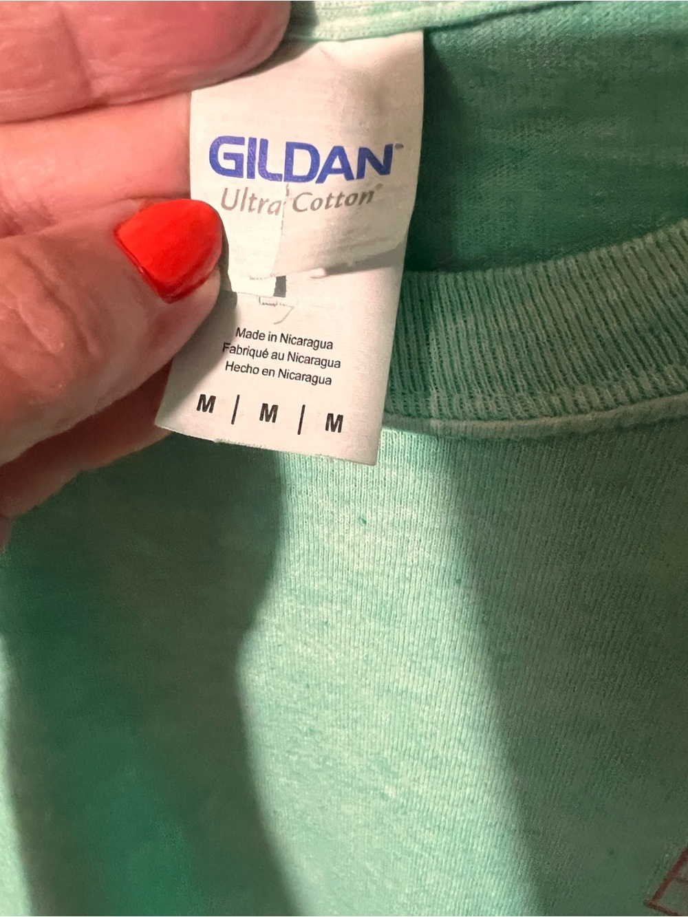 Gildan Mint to White Ombre Long Sleeve Tee with Florida Chest Logo - Picture 4 of 4